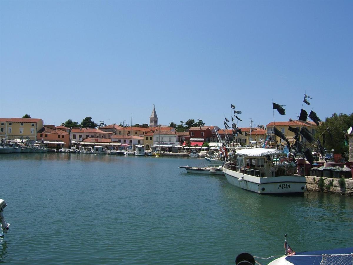 Gianna N2, 600 M From The Beach Novigrad  Ngoại thất bức ảnh