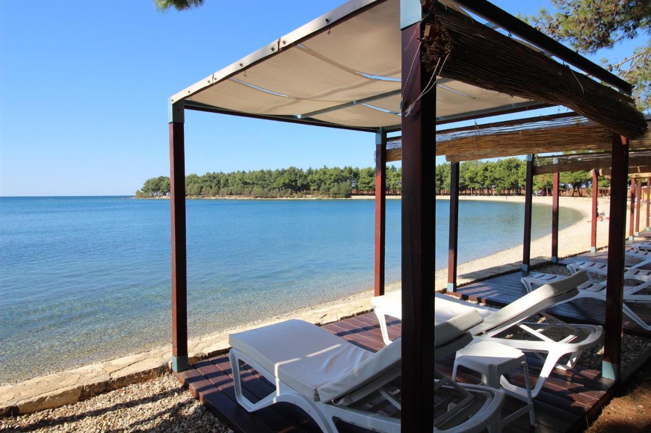 Gianna N2, 600 M From The Beach Novigrad  Ngoại thất bức ảnh