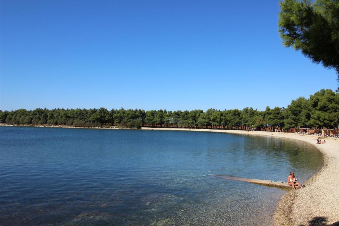 Gianna N2, 600 M From The Beach Novigrad  Ngoại thất bức ảnh