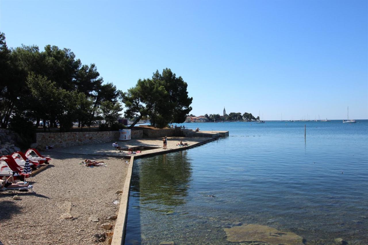 Gianna N2, 600 M From The Beach Novigrad  Ngoại thất bức ảnh