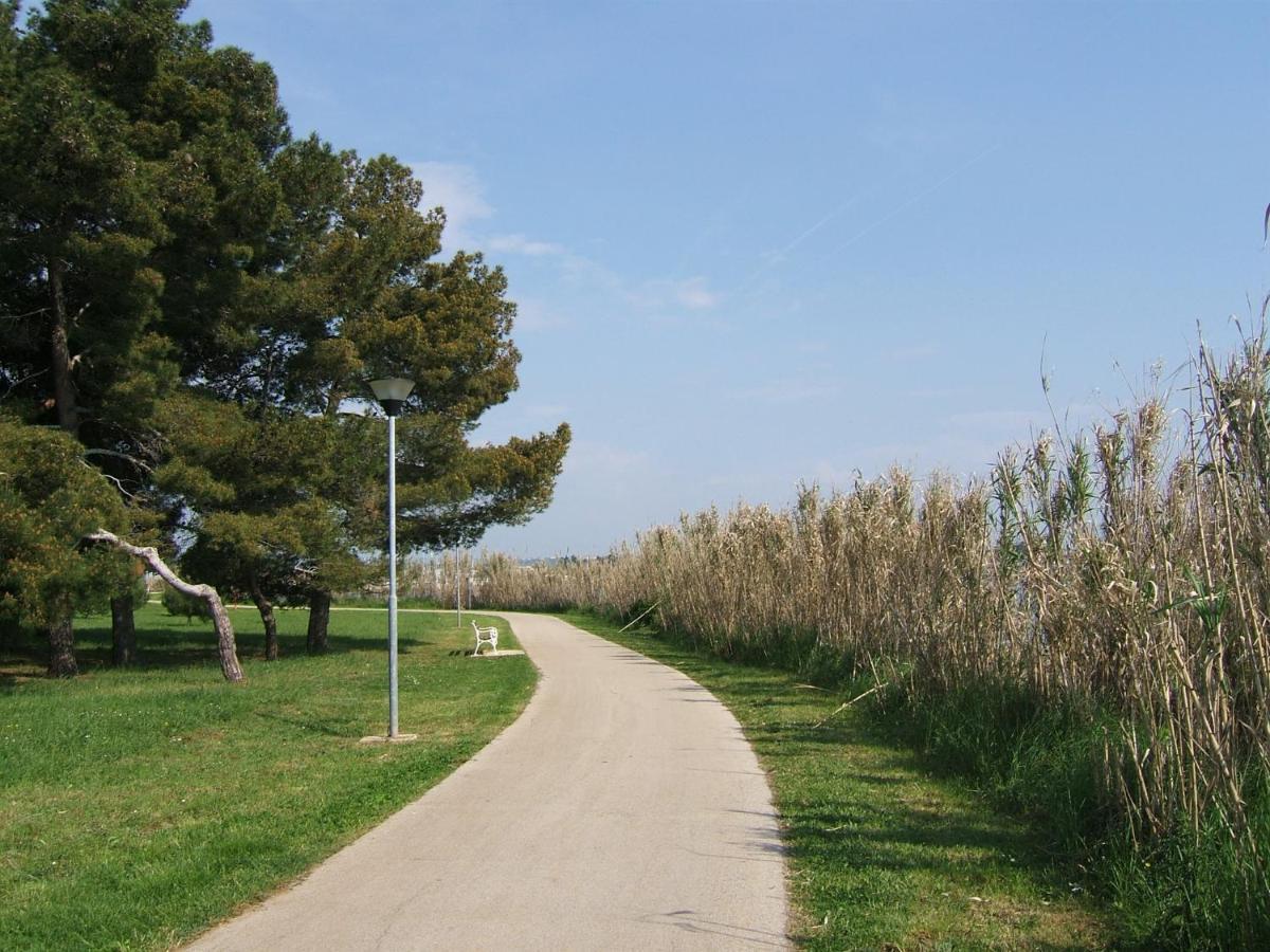 Gianna N2, 600 M From The Beach Novigrad  Ngoại thất bức ảnh
